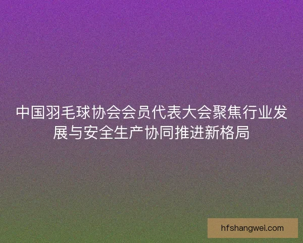 中国羽毛球协会会员代表大会聚焦行业发展与安全生产协同推进新格局 中国羽毛球协会会员代表大会聚焦行业发展与安全生产协同推进新格局