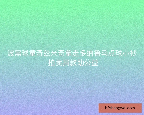 波黑球童奇兹米奇拿走多纳鲁马点球小抄 拍卖捐款助公益 波黑球童奇兹米奇拿走多纳鲁马点球小抄 拍卖捐款助公益